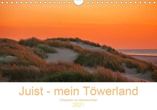 Cover for Baer · Juist - mein Töwerland (Wandkalend (Buch)