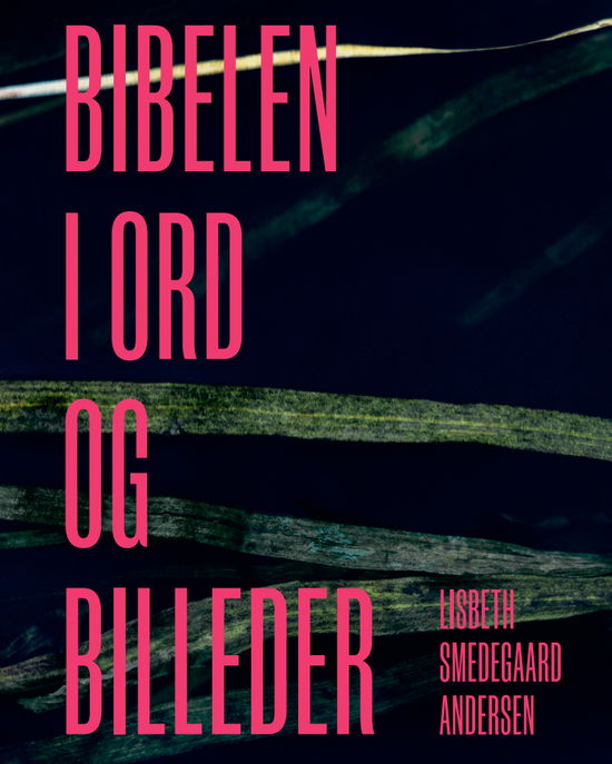 Cover for Lisbeth Smedegaard Andersen · Bibelen i ord og billeder (Innbunden bok) [1. utgave] (2024)