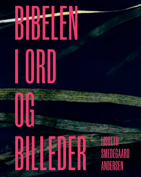 Cover for Lisbeth Smedegaard Andersen · Bibelen i ord og billeder (Bound Book) [1th edição] (2024)