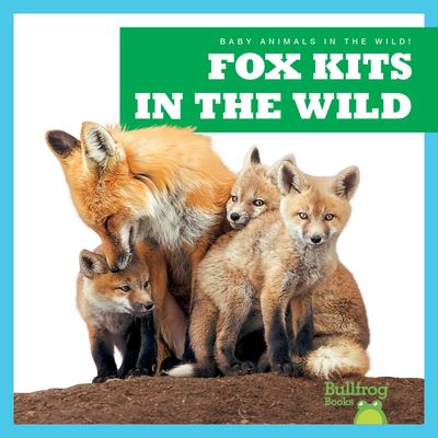 Cover for Chanez · Fox Kits in the Wild (Book) (2023)