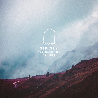 Cover for Sir Sly · You Haunt Me (LP) (2014)