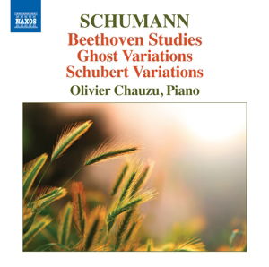Cover for Robert Schumann · Beethoven Studies (CD) (2016)