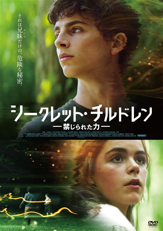 Cover for Timothee Chalamet · One &amp; Two (MDVD) [Japan Import edition] (2019)