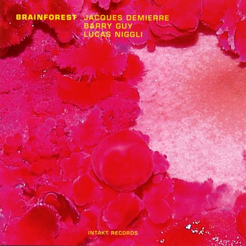 Brainforest - Demierre / Guy / Niggle - Musikk - INTAKT - 7640120191078 - 1. august 2010