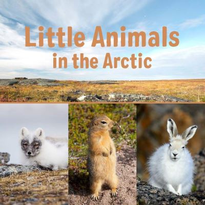 Cover for Arvaaq Press · Little Animals in the Arctic: English Edition - Nunavummi Reading Series (Paperback Book) [English edition] (2019)