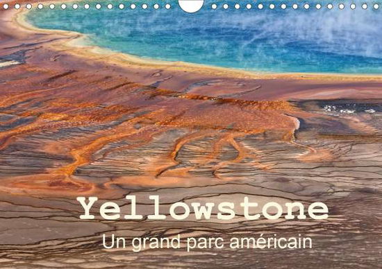 Cover for Denis · Yellowstone Un grand parc américa (Buch)