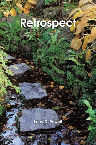 Cover for Larry D. Powell · Retrospect (Paperback Book) (2011)