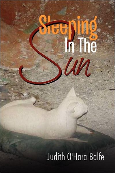 Cover for Judith O'hara Balfe · Sleeping in the Sun (Paperback Book) (2011)