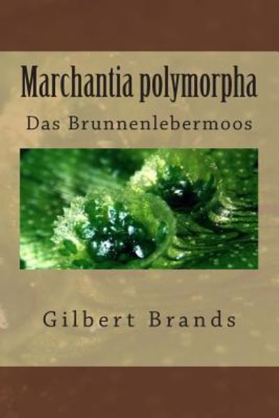 Marchantia Polymorpha: Das Brunnenlebermoos - Gilbert Brands - Livros - Createspace - 9781481106078 - 27 de novembro de 2012