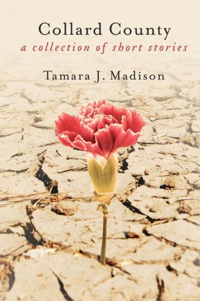 Cover for Tamara J Madison · Collard County: a Collection of Short Stories (Paperback Book) (2013)