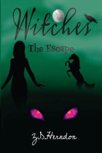 Witches - Z D Herndon - Books - Createspace Independent Publishing Platf - 9781500737078 - August 3, 2014