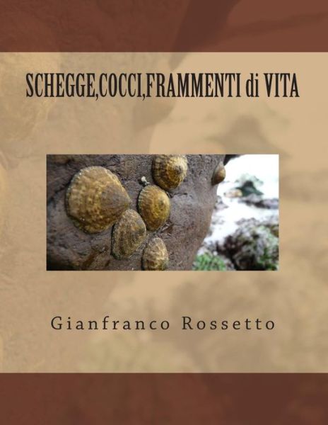 Cover for Gianfranco Rossetto · Shegge, Cocci, Frammenti Di Vita (Paperback Book) (2015)