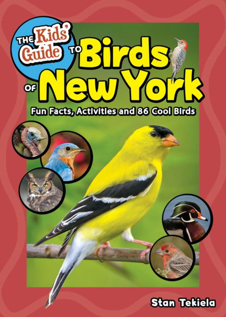 Cover for Stan Tekiela · Kids' Guide to Birds of New York: Fun Facts, Activities and 86 Cool Birds (Paperback Book) (2025)