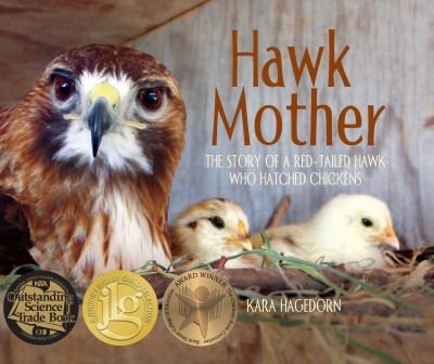 Kara Hagedorn · Hawk Mother: The Story of a Red-tailed Hawk Who Hatched Chickens - Hawk Mother (Paperback Book) (2024)