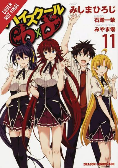 Cover for Anthony Quintessenza · High School DxD, Vol. 11 (Paperback Book) (2018)