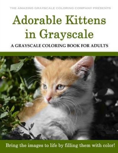 Cover for Dar Payment · Adorable Kittens (Paperback Book) (2017)