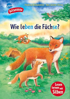 Cover for Friederun Reichenstetter · Sachwissen für Erstleser. Wie leben die Füchse? (Book) (2025)