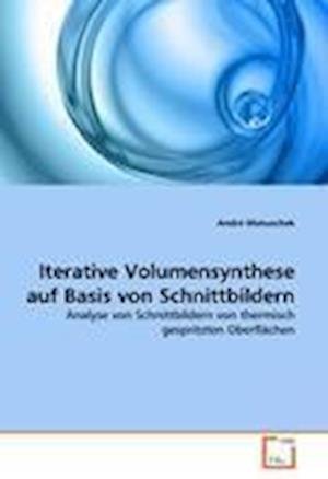 Cover for Matuschek · Iterative Volumensynthese auf (Book)