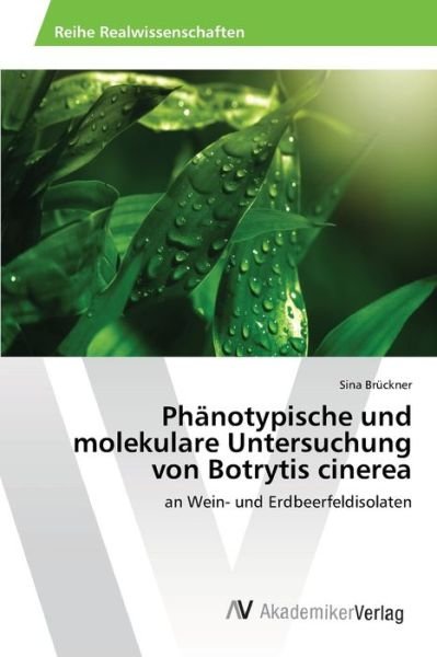 Cover for Brückner · Phänotypische und molekulare U (Bog) (2013)