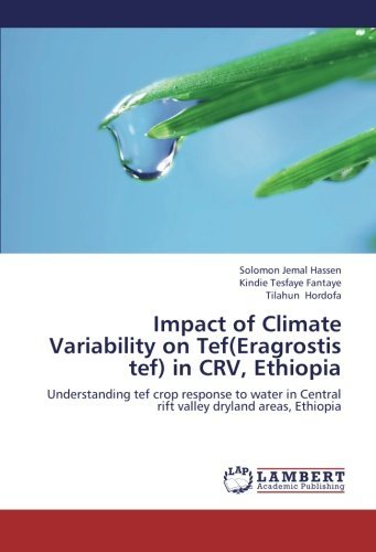 Cover for Tilahun Hordofa · Impact of Climate Variability on Tef (Eragrostis Tef) in Crv, Ethiopia: Understanding Tef Crop Response to Water in Central Rift Valley Dryland Areas, Ethiopia (Pocketbok) (2012)