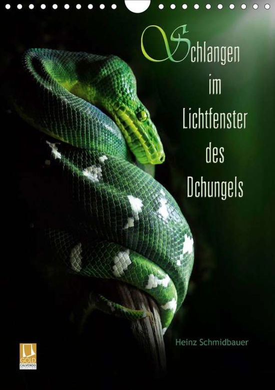 Schlangen im Lichtfenster d - Schmidbauer - Bücher -  - 9783671789078 - 