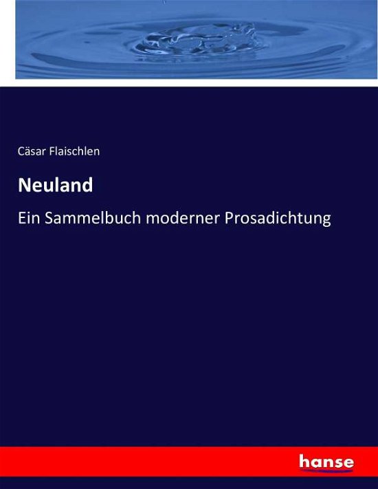 Cover for Flaischlen · Neuland (Book) (2016)