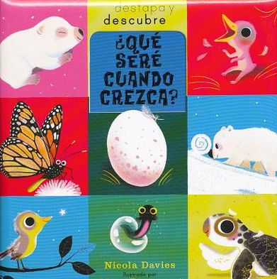 Cover for Nicola Davies · ¿qué Seré Cuando Crezca? (Hardcover Book) [Spanish, 1 edition] (2013)