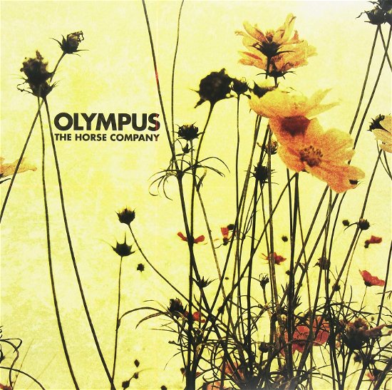 Olympus - Horse Company - Musiikki - GOOMAH MUSIC - 9789078773078 - torstai 28. toukokuuta 2009