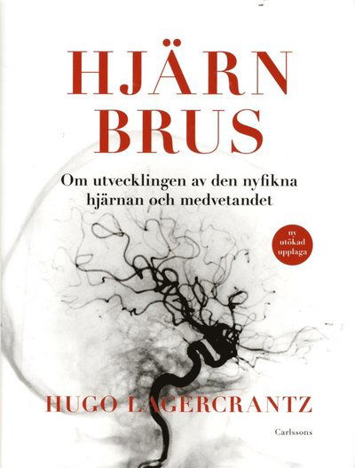 Cover for Hugo Lagercrantz · Hjärnbrus : om utvecklingen av den nyfikna hjärnan och medvetandet (Bound Book) (2015)