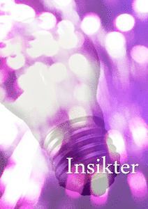 Cover for Dag Öhrlund · Insikter (Book) (2014)