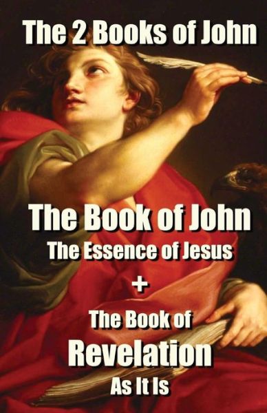 Cover for Gerard Meerstadt · The 2 Books of John: The Book of John The Essence of Jesus + The Book of Revelation As It Is (Paperback Book) (2021)