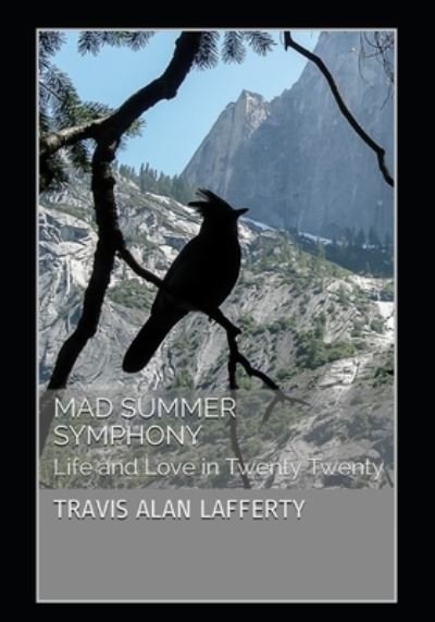 Cover for Lafferty Travis Alan Lafferty · Mad Summer Symphony: Life and Love in Twenty Twenty (Taschenbuch) (2021)