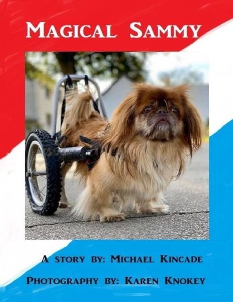 Magical Sammy - Sr Michael Kincade - Kirjat - Independently Published - 9798625205078 - keskiviikko 20. toukokuuta 2020