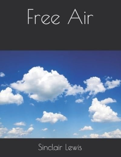 Cover for Sinclair Lewis · Free Air (Taschenbuch) (2021)