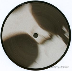 Cover for Fluxion · Waves (12&quot;) (2010)