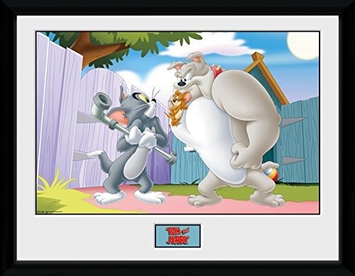 Tom & Jerry: Fight (Stampa In Cornice 30x40cm) - Tom & Jerry - Merchandise - Gb Eye - 5028486287079 - 
