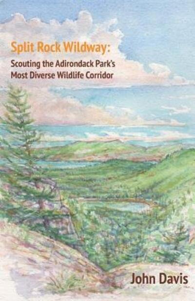 Split Rock Wildway : Scouting the Adirondack Park?s Most Diverse Wildlife Corridor - John Davis - Livros - Essex Editions - 9780996787079 - 21 de novembro de 2017