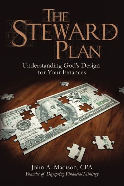Cover for CPA. John A. Madison · The STEWARD Plan (Paperback Book) (2020)