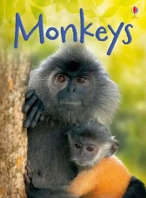 Cover for Lucy Bowman · Monkeys - Beginners (Hardcover Book) (2010)