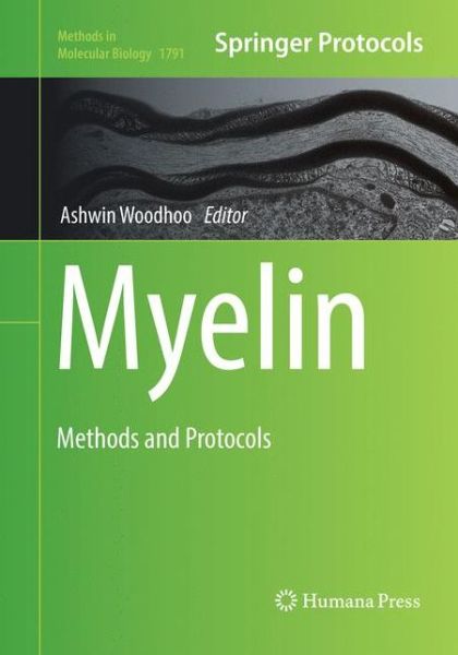 Cover for Myelin: Methods and Protocols - Methods in Molecular Biology (Paperback Book) [Softcover reprint of the original 1st ed. 2018 edition] (2019)