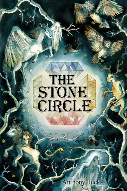 Cover for Tuck, Prof Anthony (Formerly University of Bristol) · The Stone Circle (Taschenbuch) (2015)