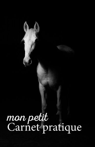 Cover for Mes Petits Calepins V1 V3 Editions · Mon petit Carnet pratique (Pocketbok) (2019)