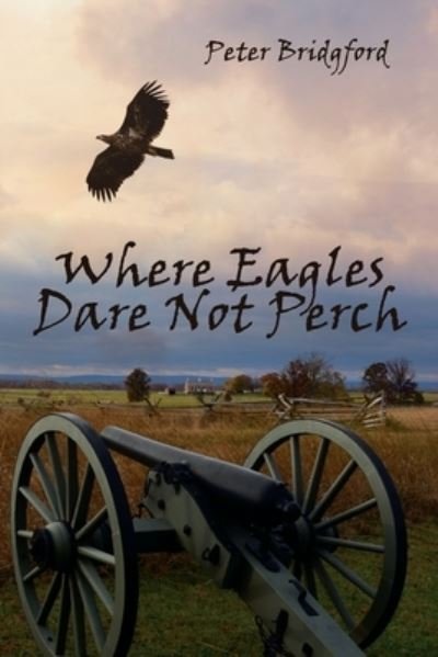 Cover for Peter Bridgford · Where Eagles Dare Not Perch (Paperback Book) (2018)