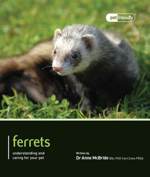 Cover for Anne McBride · Ferrets - Pet Friendly (Paperback Book) (2012)