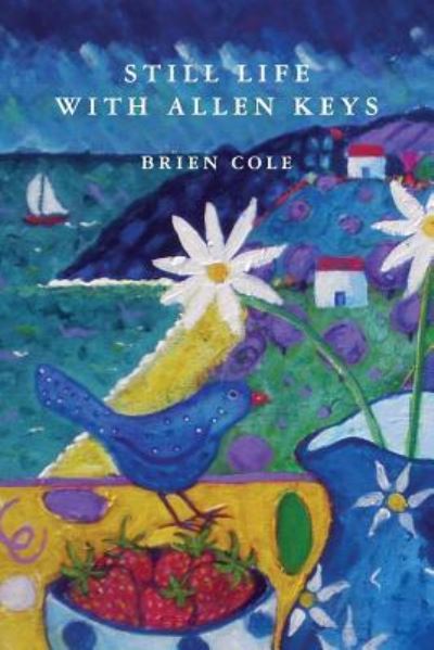 Cover for Brien Cole · Still Life with Allen Keys (Book) (2018)