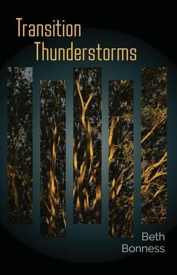 Cover for Beth Bonness · Transition Thunderstorms (Pocketbok) (2022)