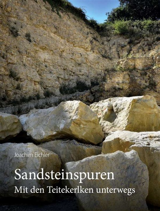Cover for Eichler · Sandsteinspuren (Bog) (2020)