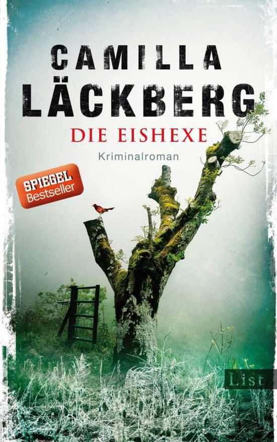 Cover for Läckberg · Die Eishexe (Book)