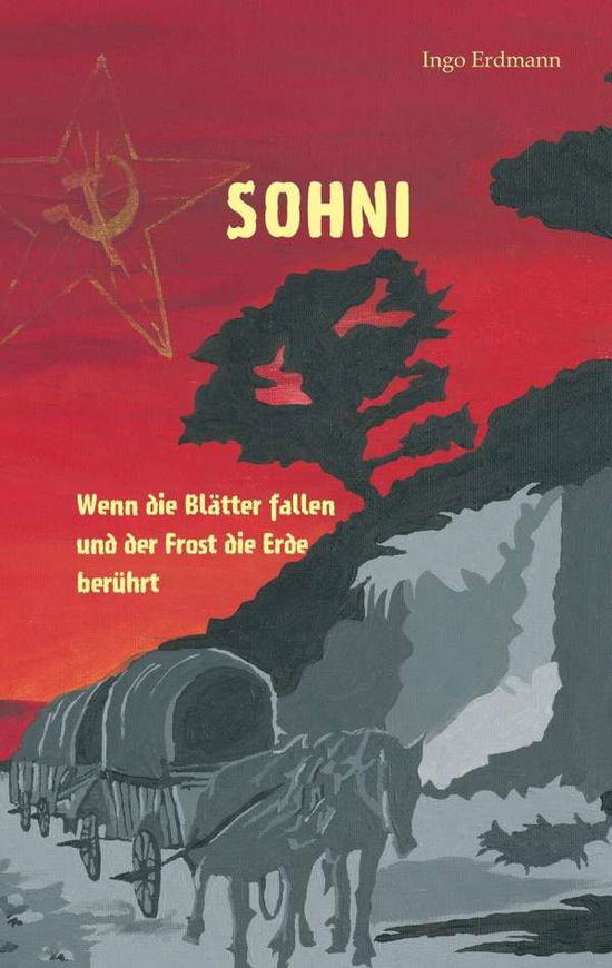 Cover for Erdmann · Sohni (Book)