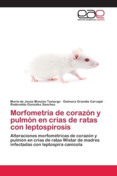 Cover for Maria de Jesus Monzon Tamargo · Morfometria de corazon y pulmon en crias de ratas con leptospirosis (Paperback Book) (2020)